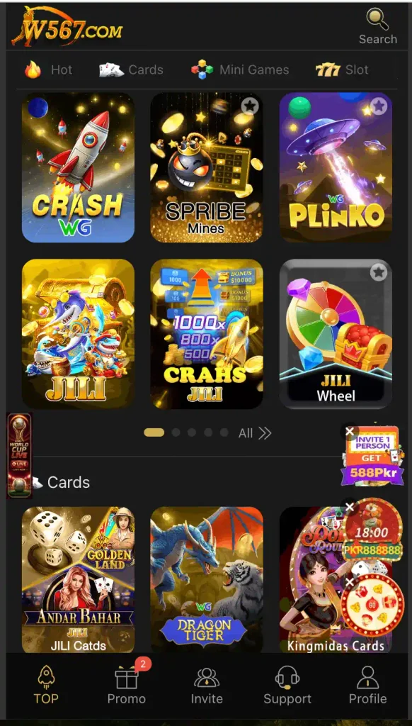 W567 Game