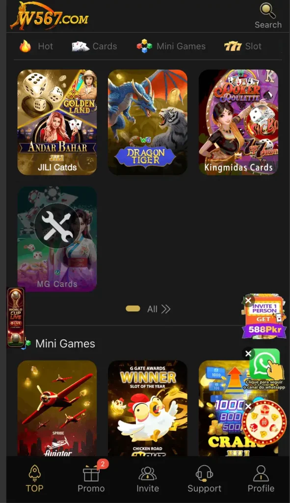 W567 Game